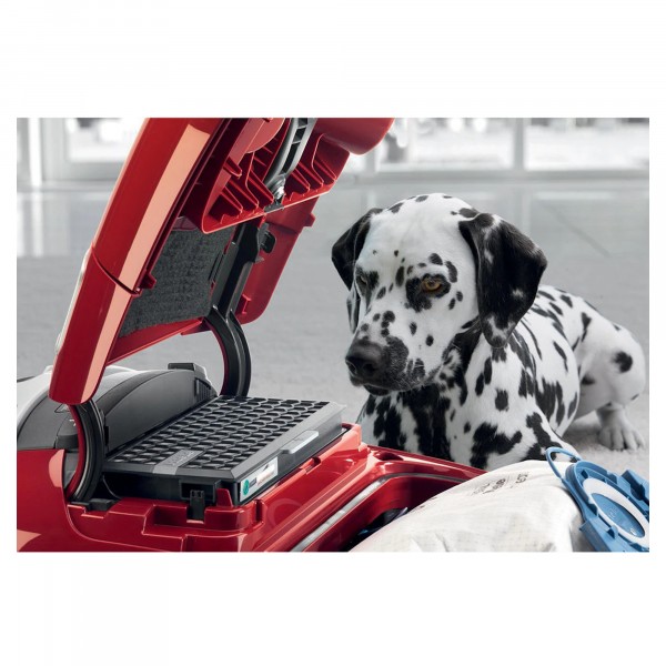 Miele C3 Cat and Dog Pro Vacuum Cleaner Hughes