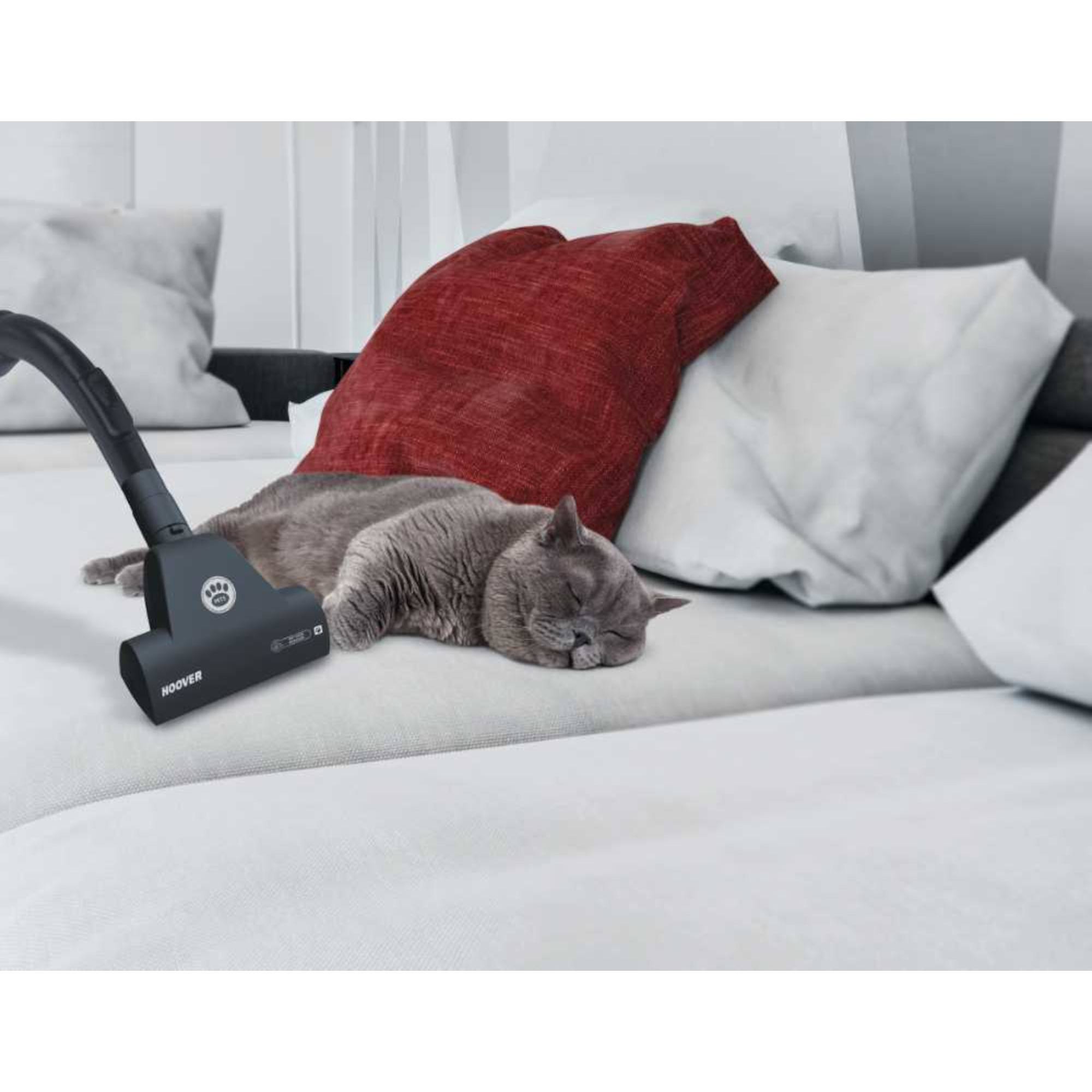 Hoover Breeze BR71BR02 2L Bagless 700W Pet Vacuum Cleaner Hughes