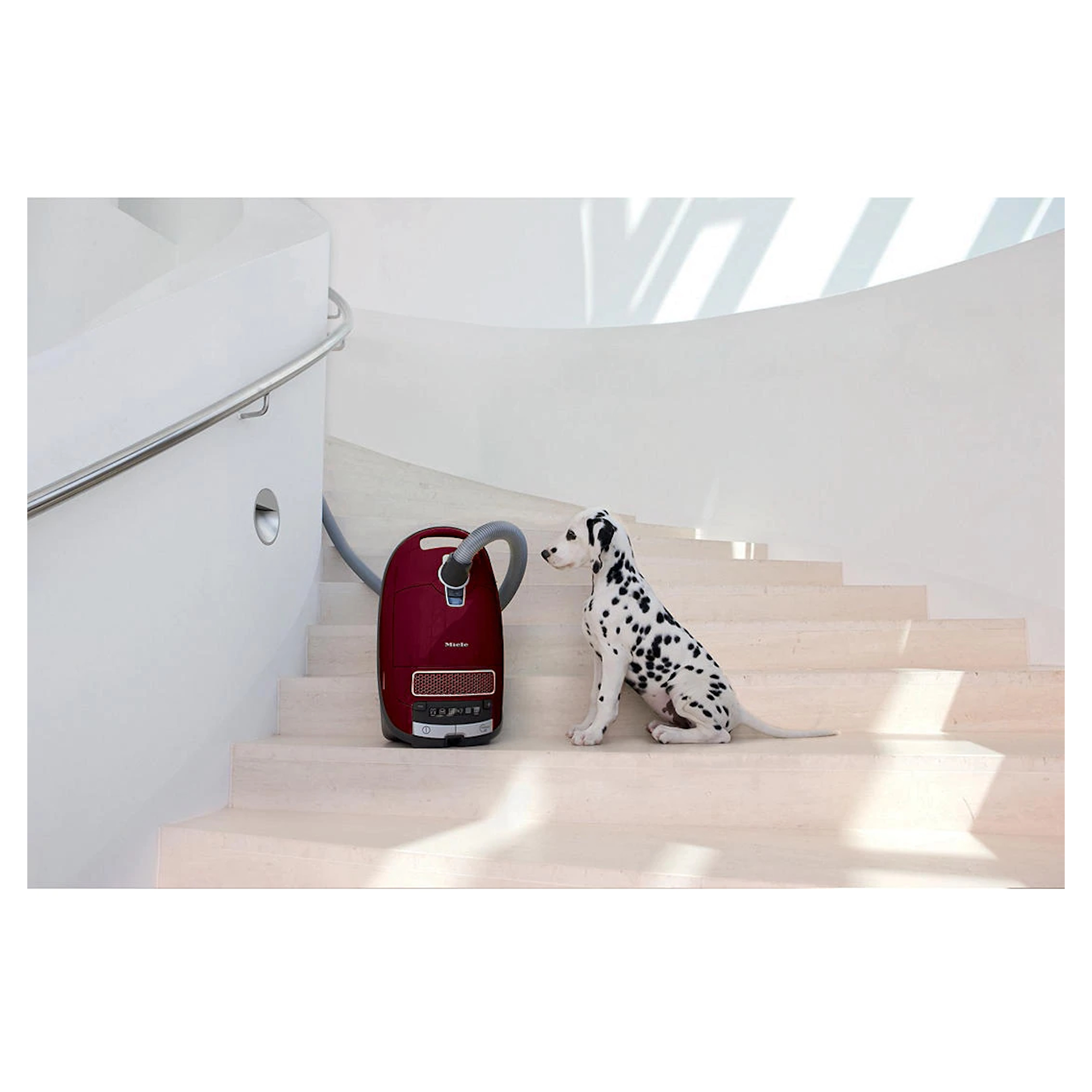 Miele C3 Cat and Dog Pro Vacuum Cleaner Hughes