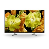 Sony KD43XG8196BU
