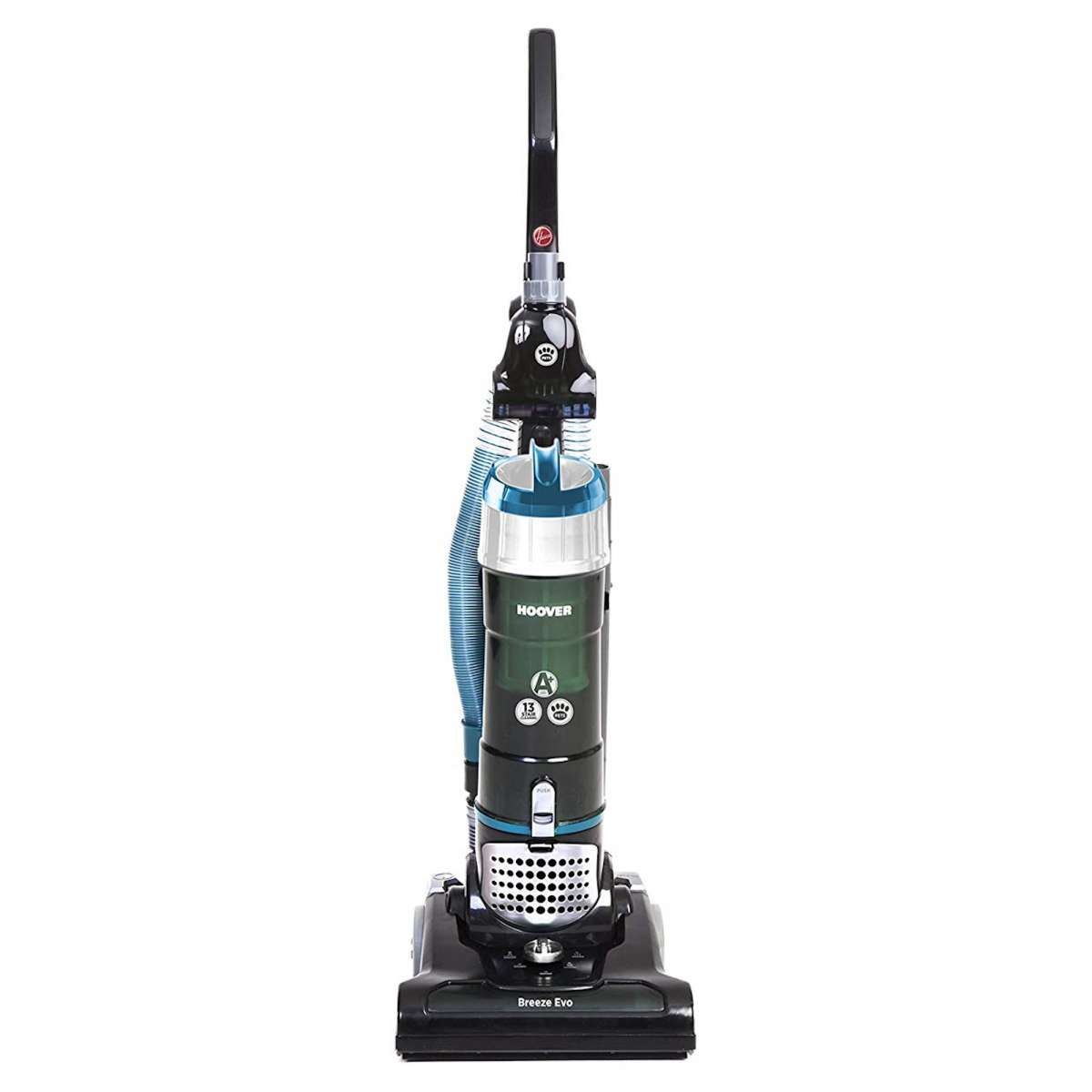 pet vacuum rental